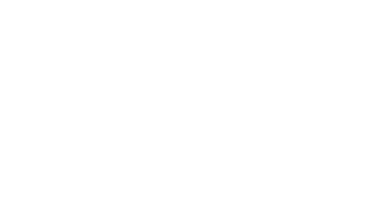 Logo: Mint Zukunft Schaffen