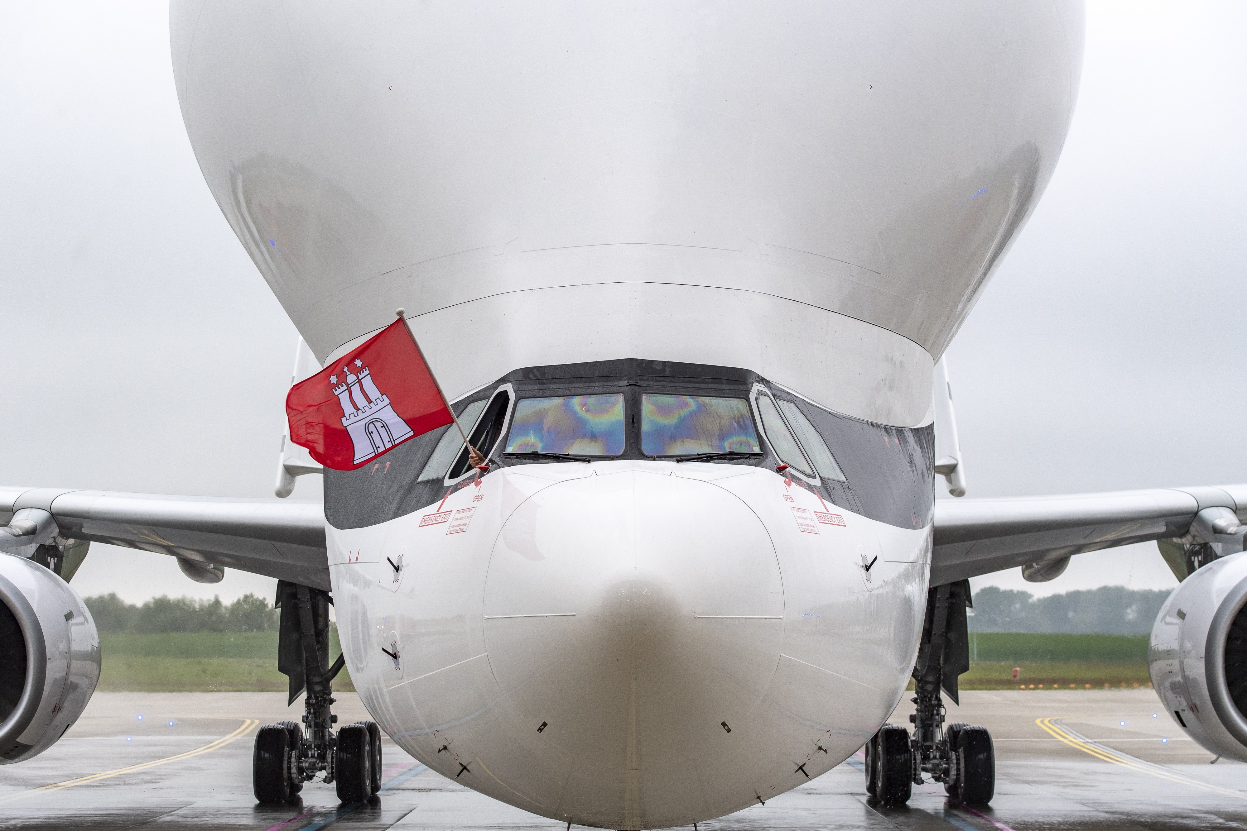 Beluga