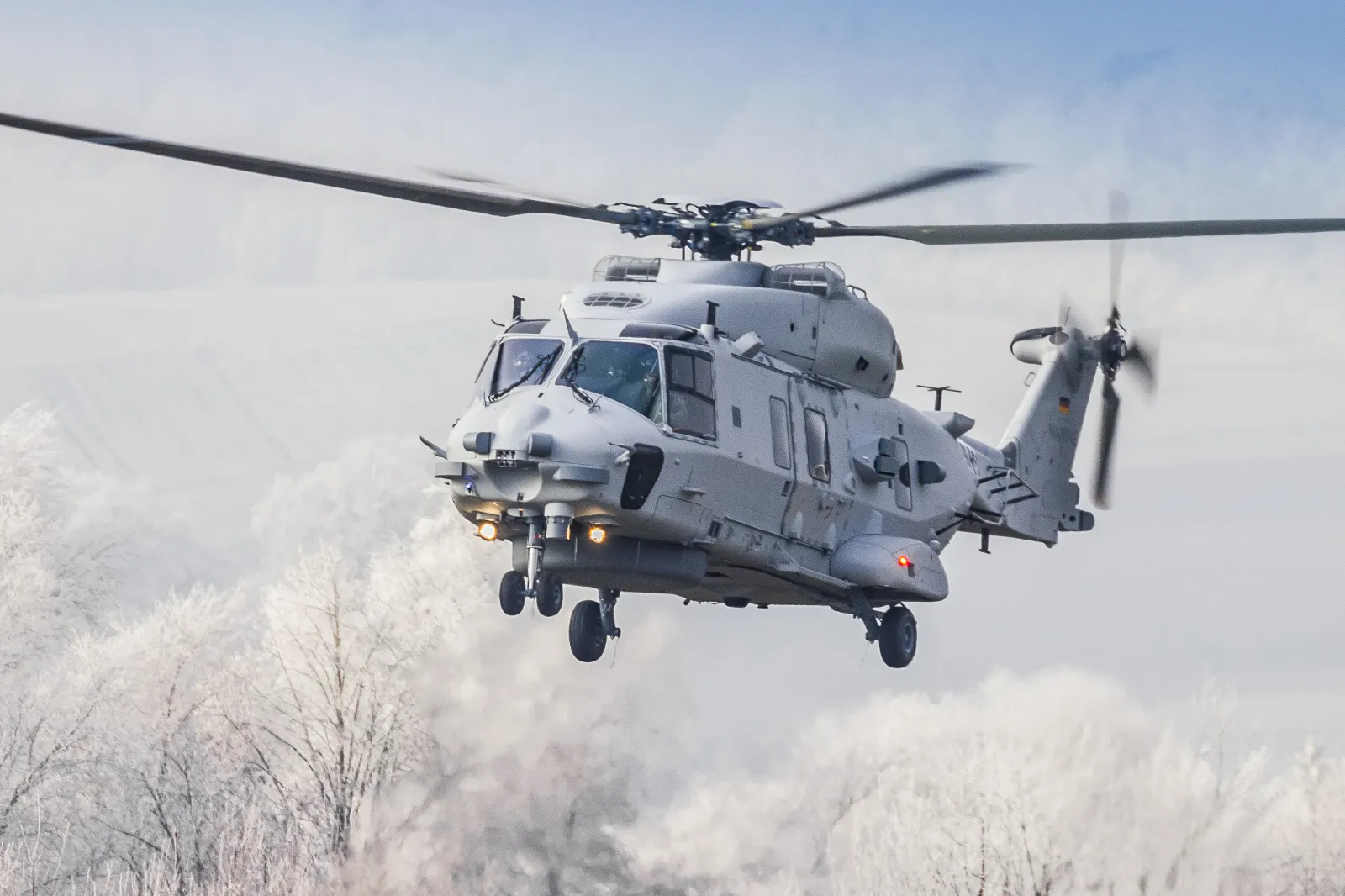 Sea Lion NH 90