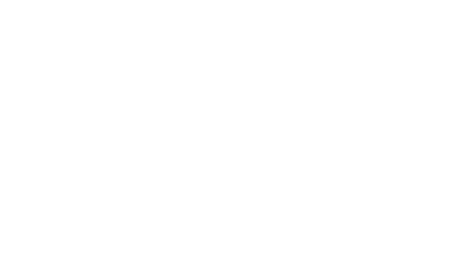 Logo Skyfuture