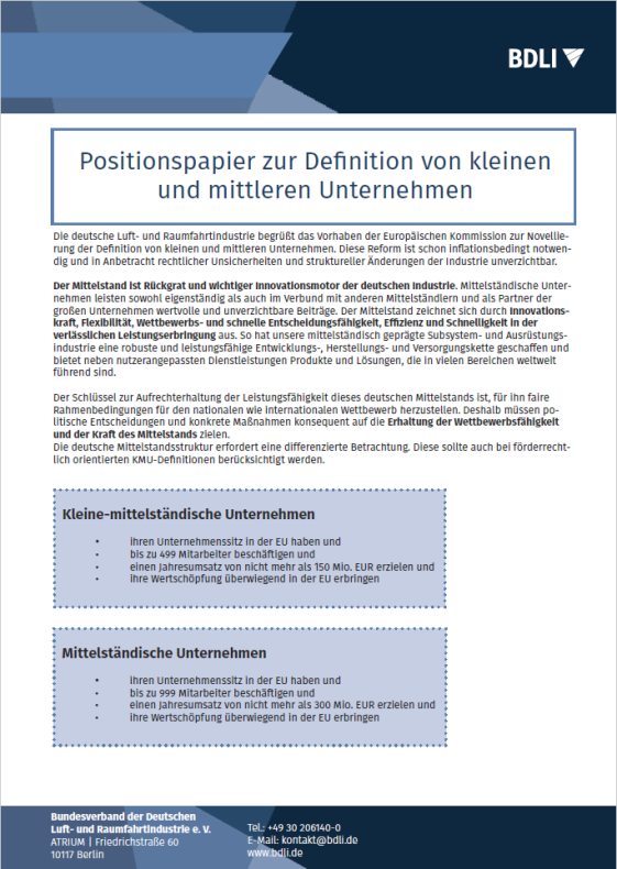 BDLI Positionspapier zur Definition von kleinen und mittleren Unternehmen BDLI Positionspapier zur Definition von kleinen und mittleren Unternehmen